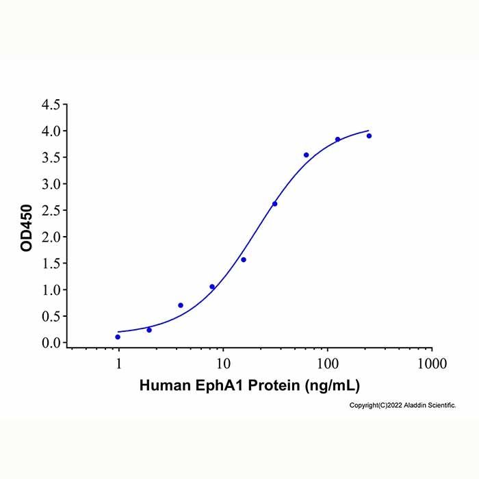 Recombinant Human Ephrin-A1 Protein