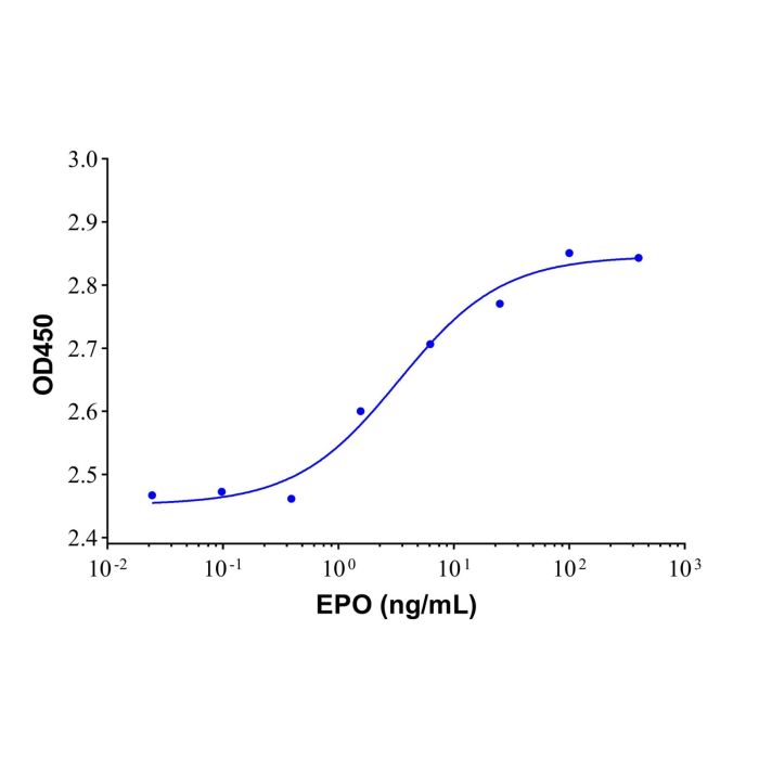 Recombinant Human EPO Protein
