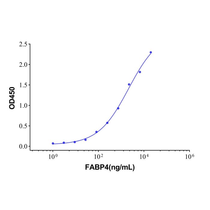Recombinant Human FABP4 Protein