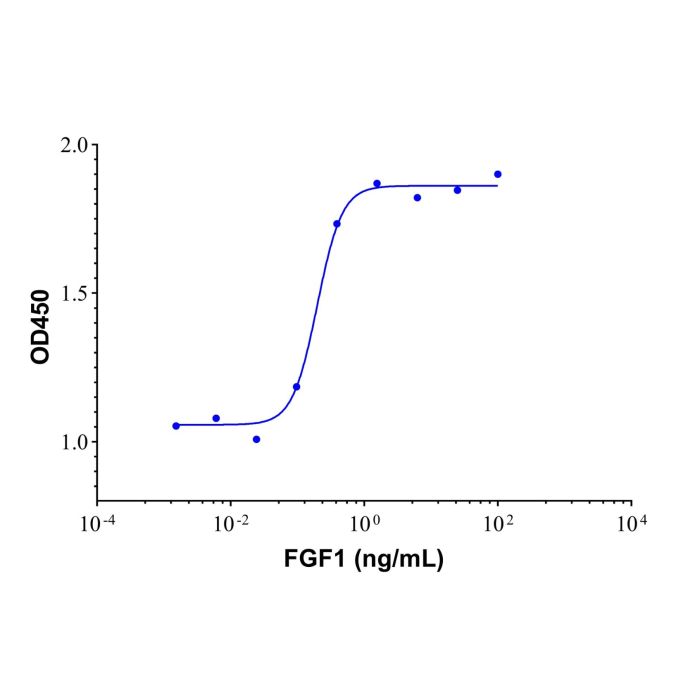 Recombinant human FGF1 protein