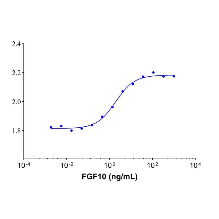 Recombinant Human FGF10 Protein