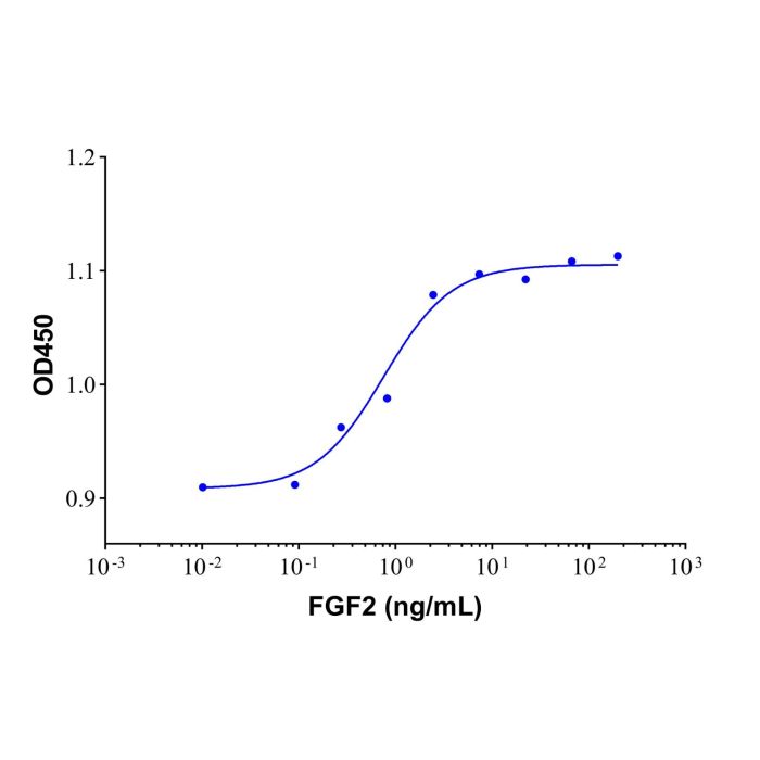 Recombinant Human FGF basic/FGF2/bFGF(155aa) Protein