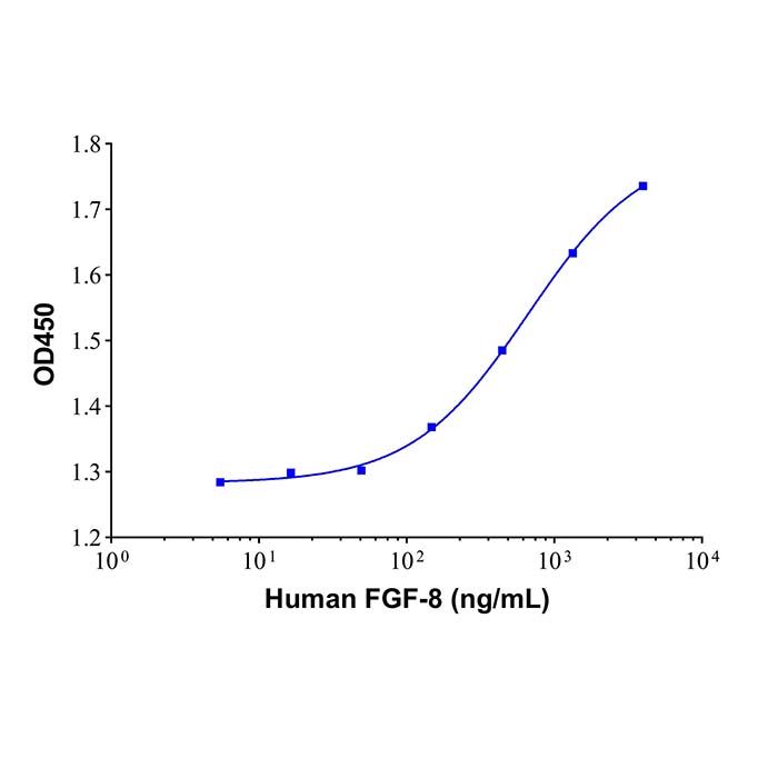 Recombinant Human FGF8 Protein