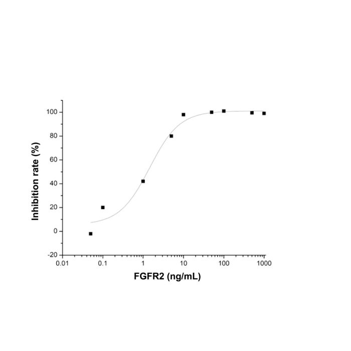 Recombinant Human FGFR2 Protein