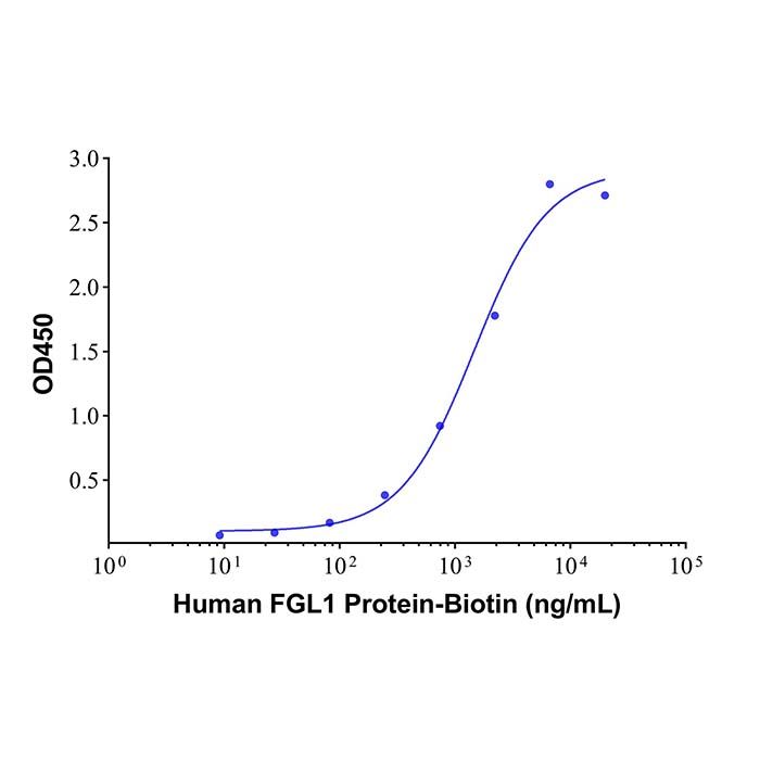 Recombinant Human FGL1 Protein