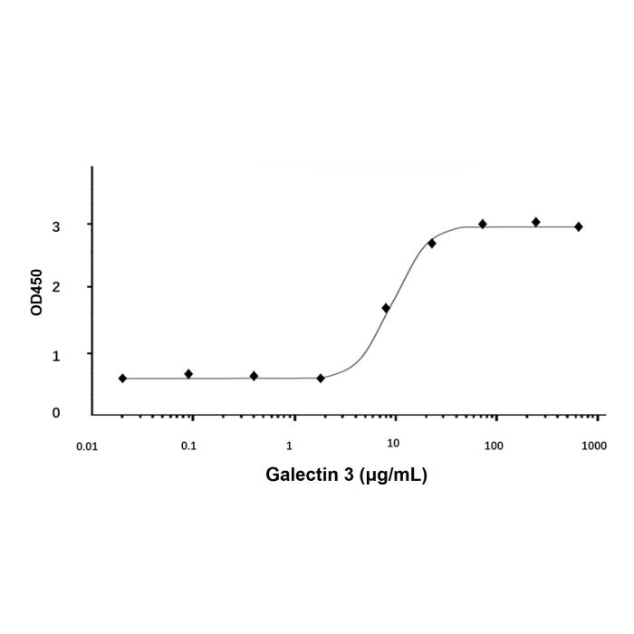 Recombinant Human Galectin 3 Protein