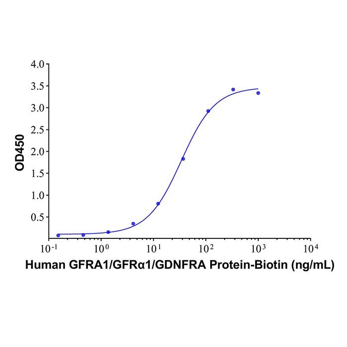 Recombinant Human GDNF Protein