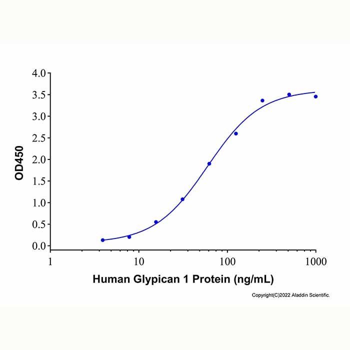 Recombinant Human Glypican 1 Protein