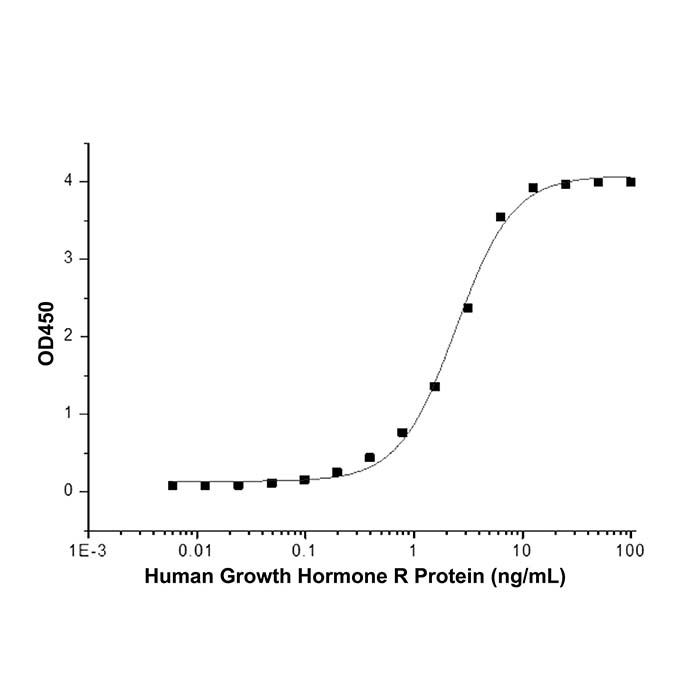Recombinant Human Growth Hormone R Protein
