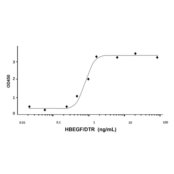 Recombinant Human HBEGF/DTR Protein