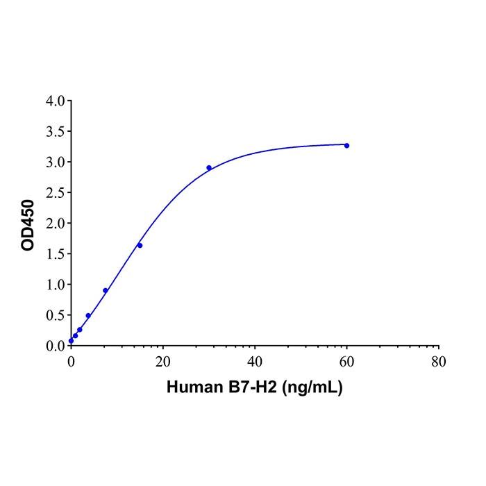 Recombinant Human B7-H2 Protein