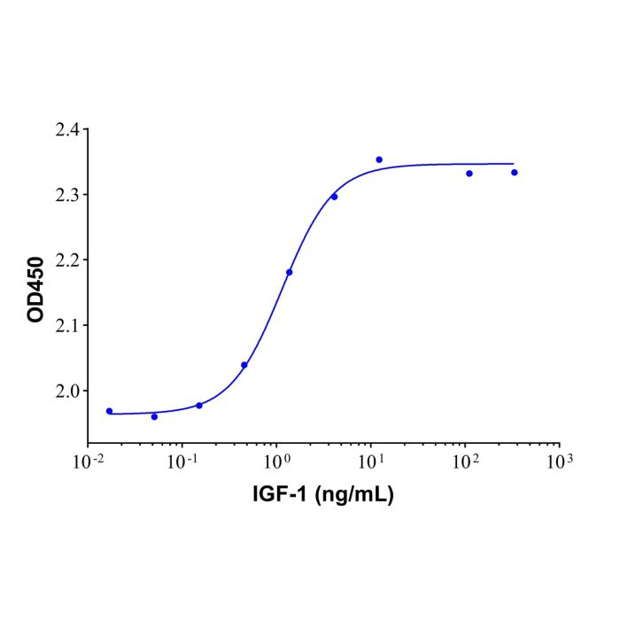 Recombinant Human IGF-1 Protein