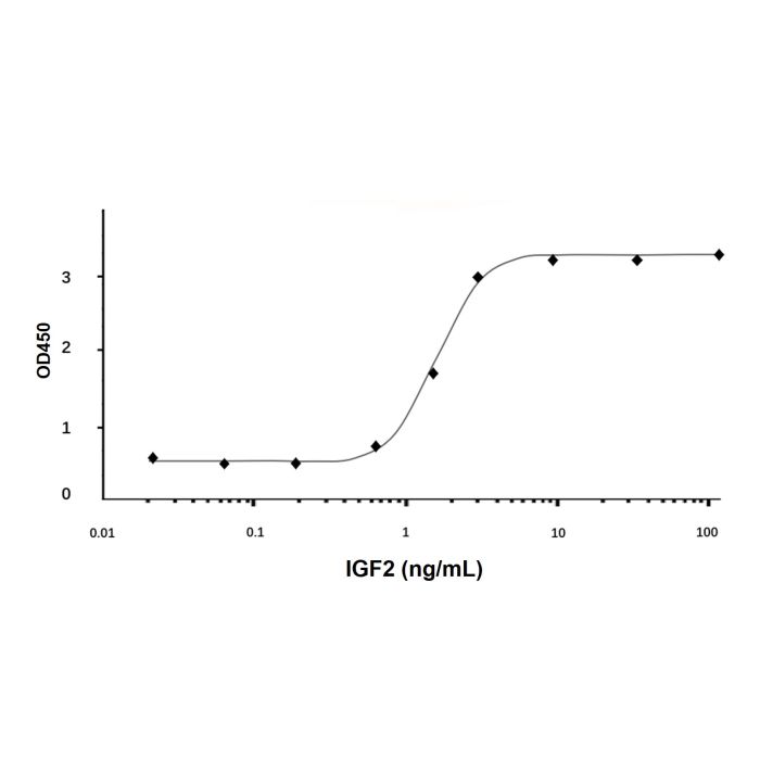 Recombinant Human IGF2 Protein