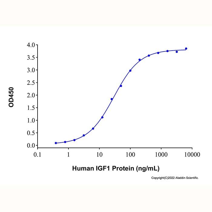 Recombinant Human IGFBP2 Protein