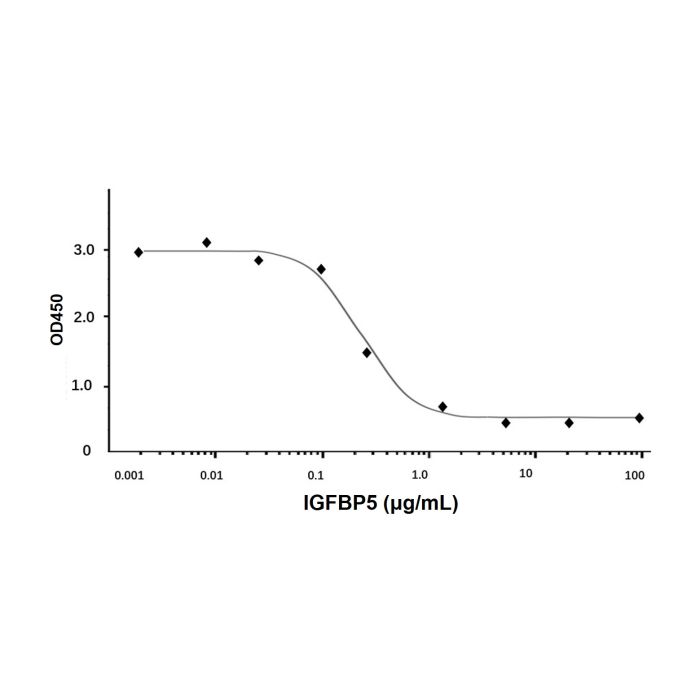 Recombinant Human IGFBP5 Protein