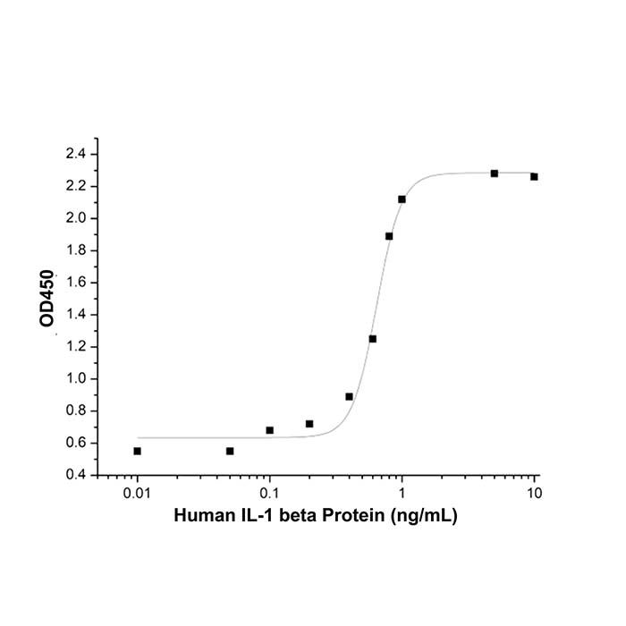 Recombinant Human IL-1 beta Protein