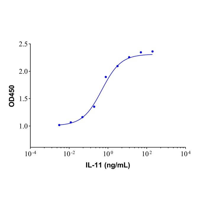 Recombinant Human IL-11 Protein