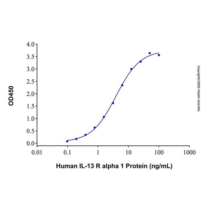 Recombinant Human IL-13 R alpha 1 Protein