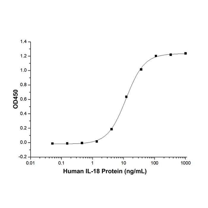 Recombinant Human IL-18 Protein
