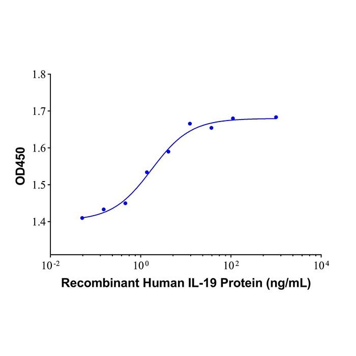 Recombinant Human IL-19 Protein