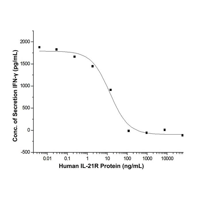 Recombinant Human IL-21R Protein