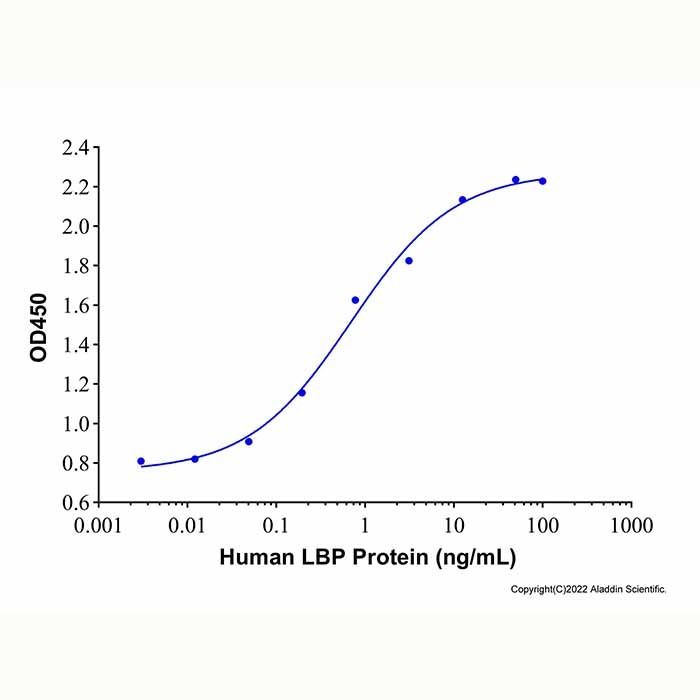 Recombinant Human LBP Protein