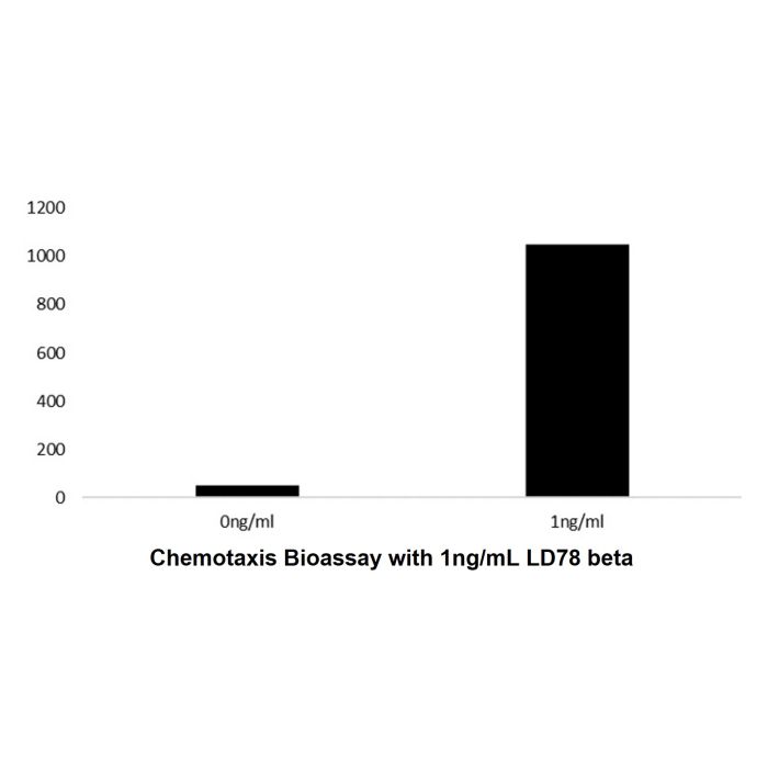 Recombinant Human LD78 beta Protein