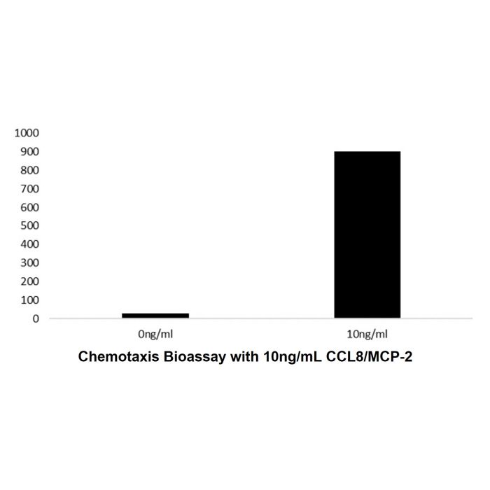 Recombinant Human CCL8/MCP-2 Protein