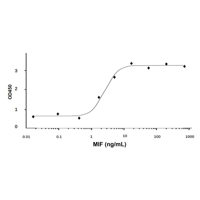Recombinant Human MIF Protein