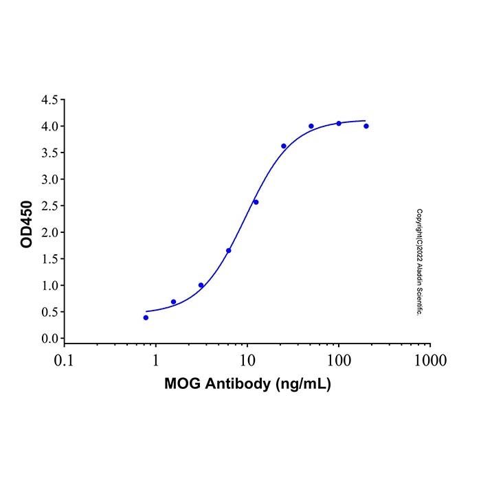 Recombinant Human MOG Protein
