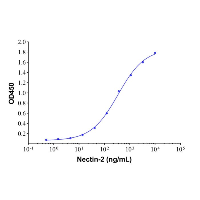 Recombinant Human Nectin-2/CD112 Protein