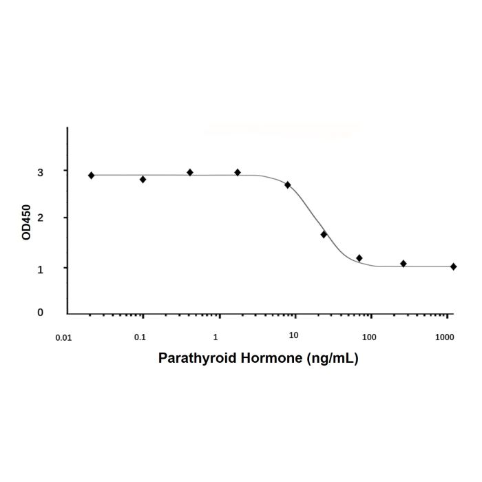 Recombinant Human Parathyroid Hormone Protein