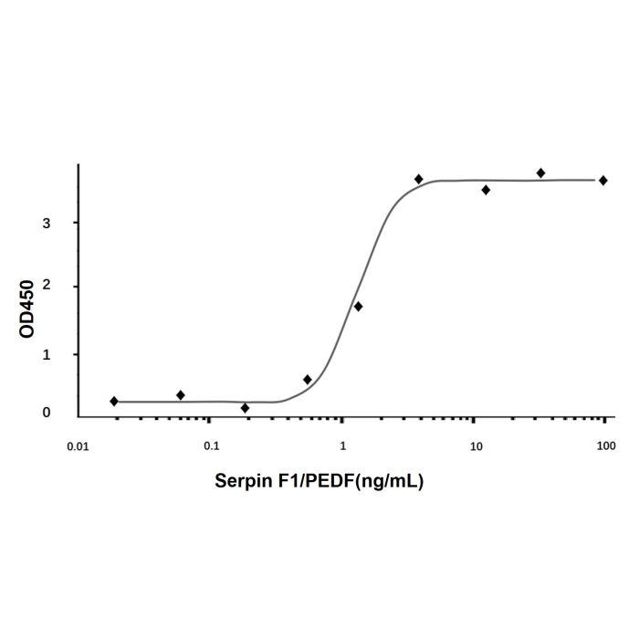 Recombinant Human Serpin F1/PEDF Protein