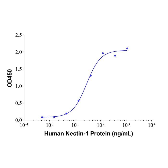 Recombinant Human Nectin-1 Protein
