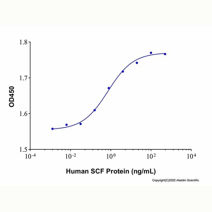 Recombinant Human SCF Protein