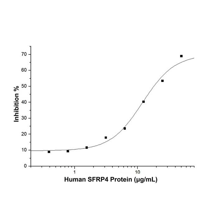 Recombinant Human SFRP4 Protein