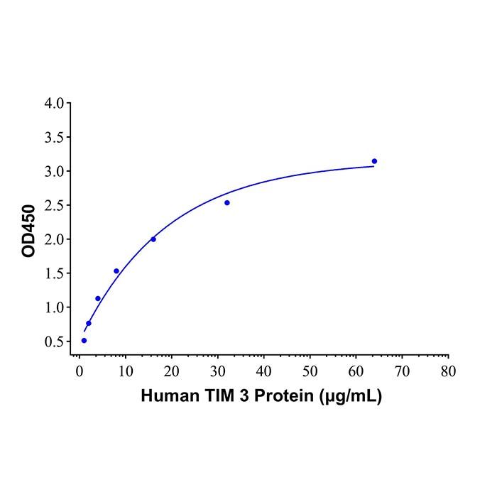 Recombinant Human TIM 3 Protein