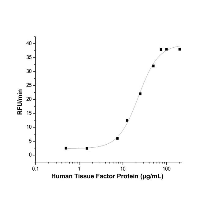 Recombinant Human Tissue Factor Protein