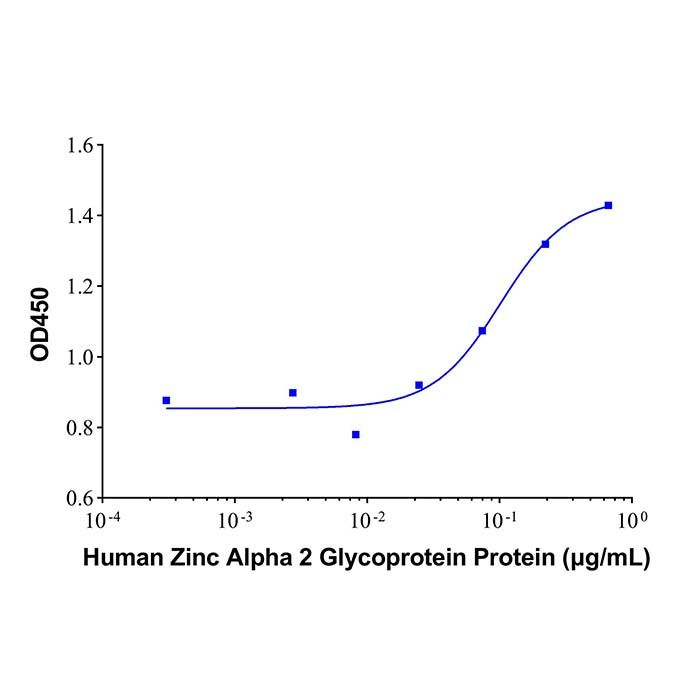 Recombinant Human Zinc Alpha 2 Glycoprotein