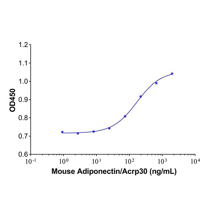 Recombinant Mouse Adiponectin/Acrp30 Protein