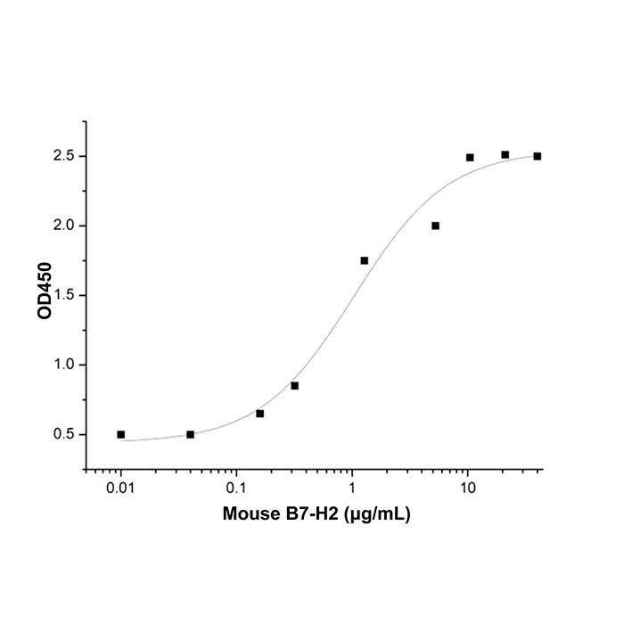 Recombinant Mouse B7-H2 Protein