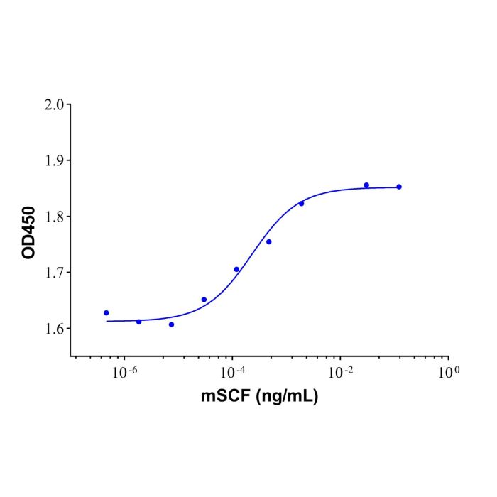Recombinant Mouse SCF Protein
