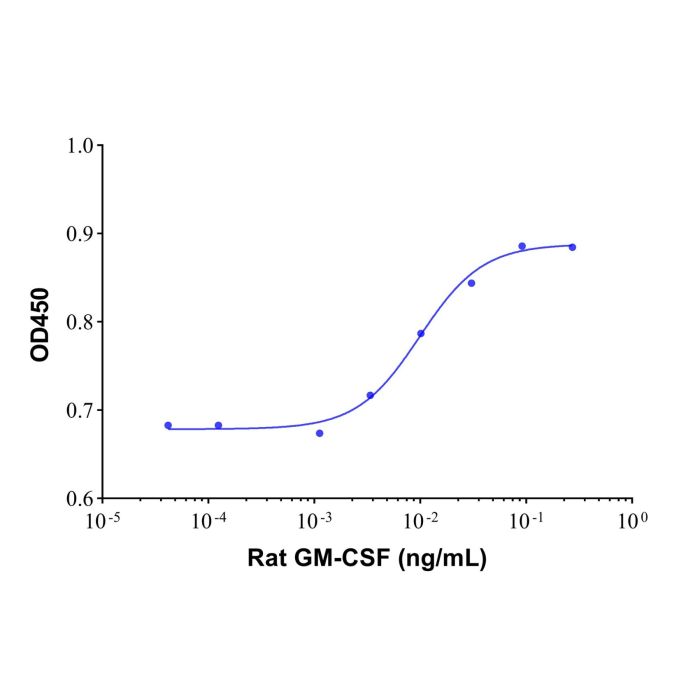 Recombinant Rat GM-CSF Protein