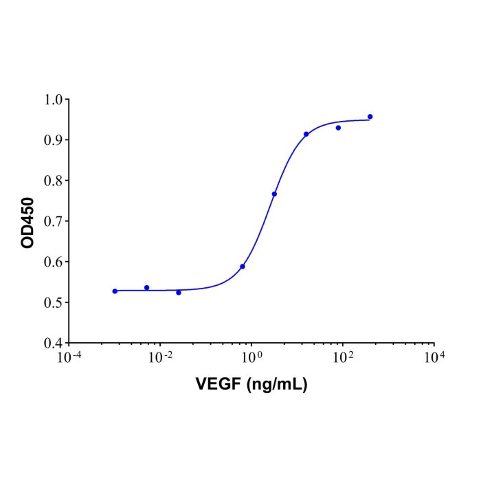 Recombinant Human VEGF Protein