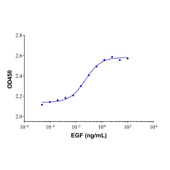 Recombinant Human EGF Protein