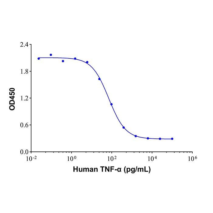 Recombinant Human TNF-α Protein
