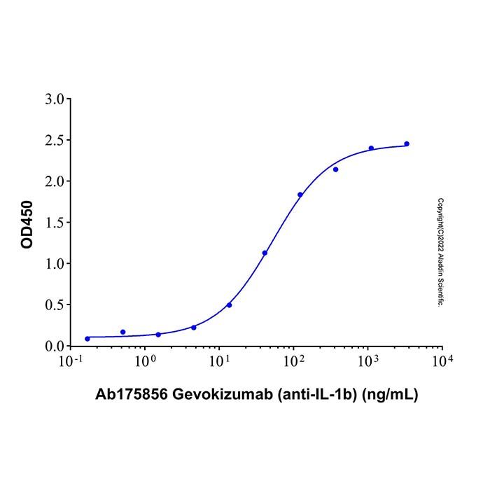 Recombinant Human IL-1β Protein