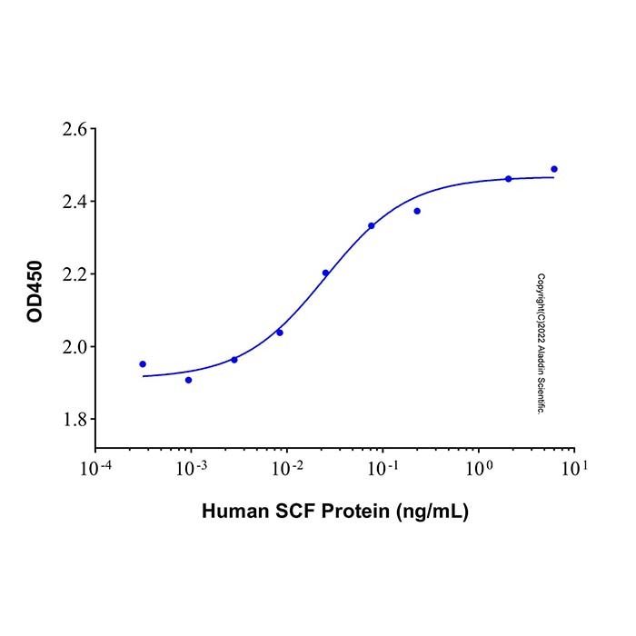 Recombinant Human SCF Protein
