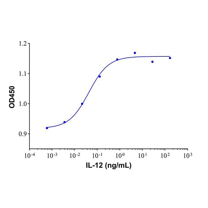 Recombinant Human IL-12 Protein