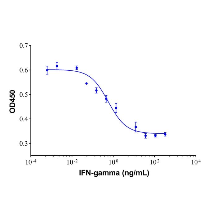 Recombinant Human IFN-gamma Protein